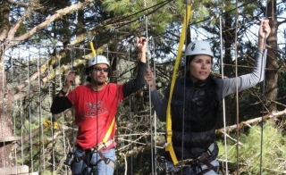 Pasando entre arboles